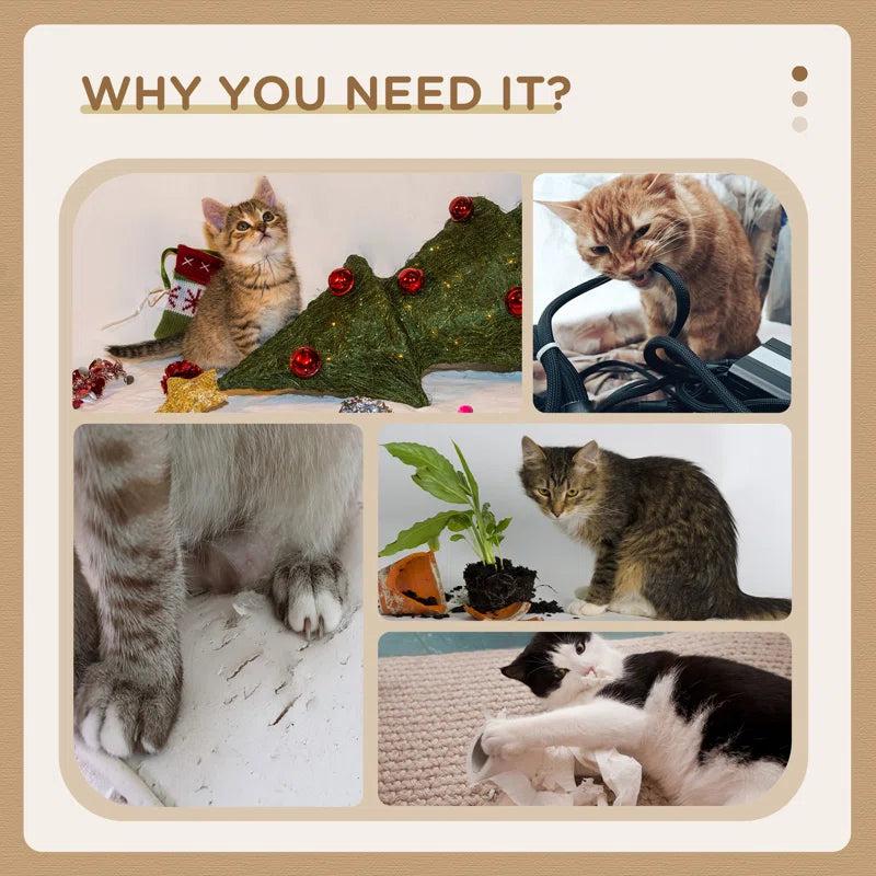 Crosby Scratching Post: Durable Play and Scratch Hub for Cats