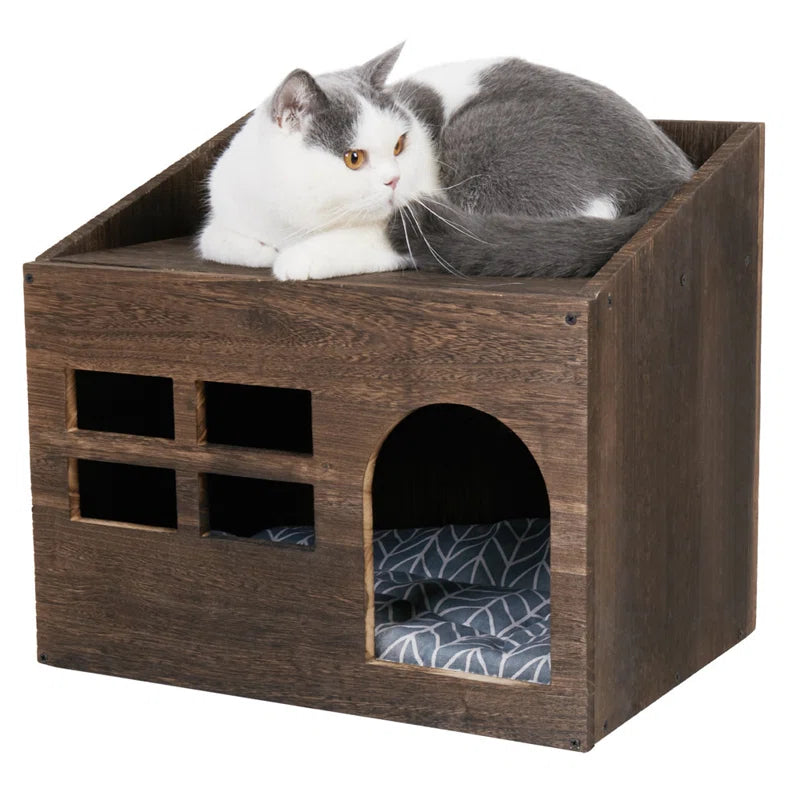Cataleya Pet Bed: Stylish and Comfortable Lounger with Removable Cover and Memory Foam Cushion