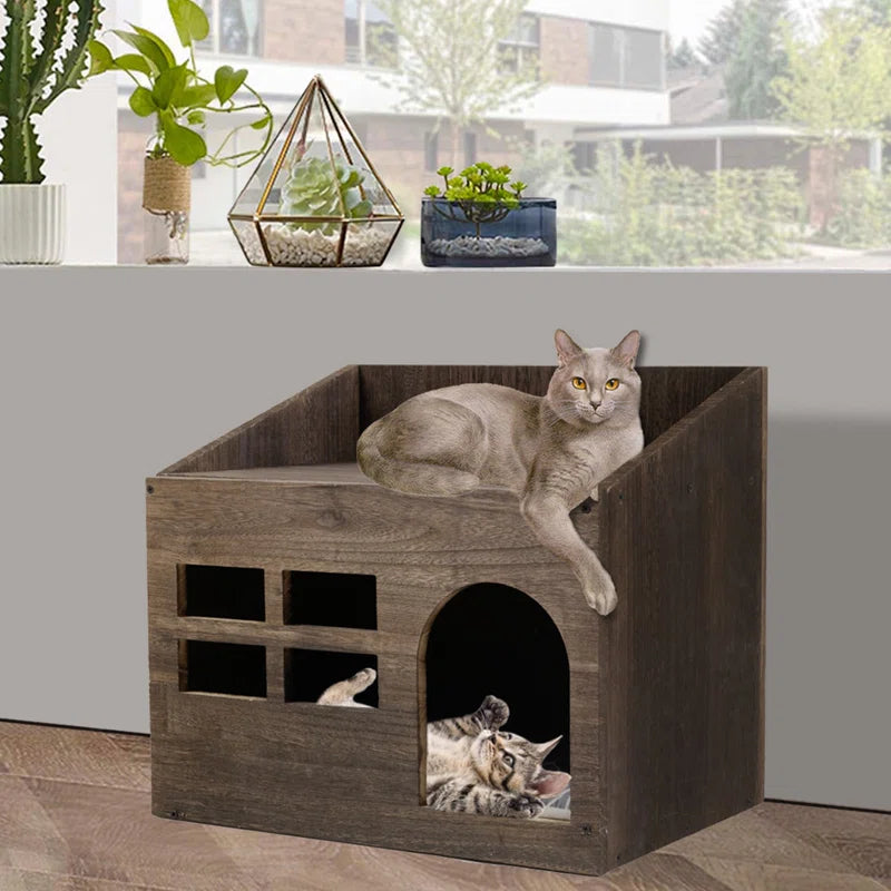 Cataleya Pet Bed: Stylish and Comfortable Lounger with Removable Cover and Memory Foam Cushion